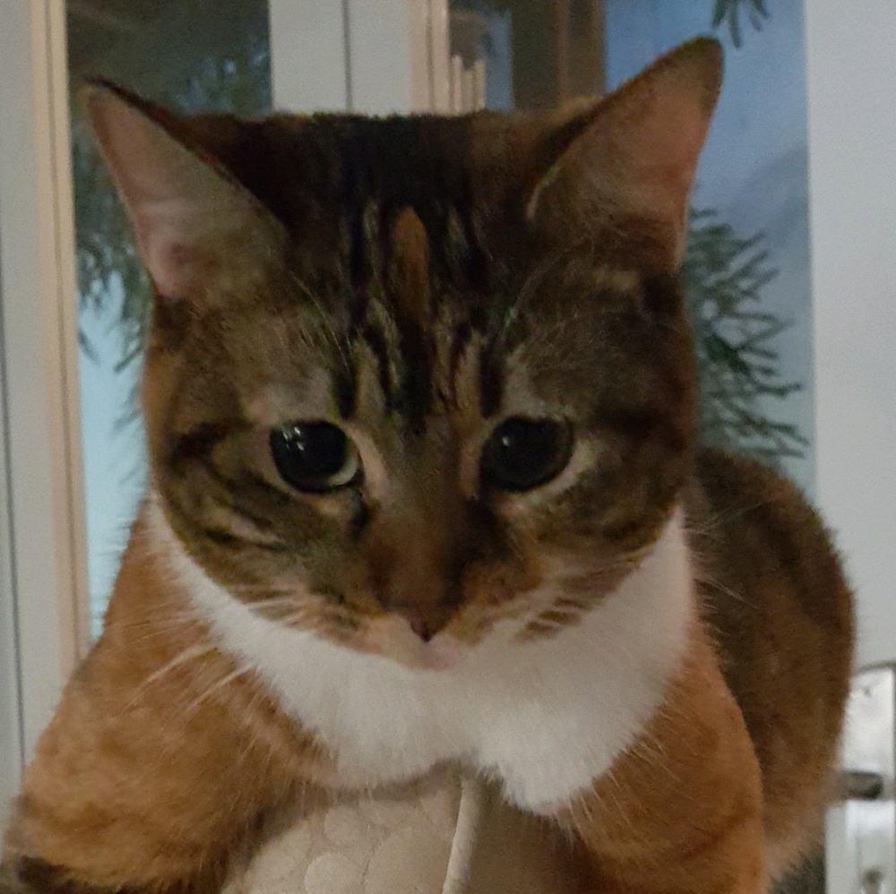 Meet your Posher, Melba